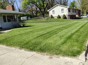 Gwyddon K.'s Lawn Service service result
