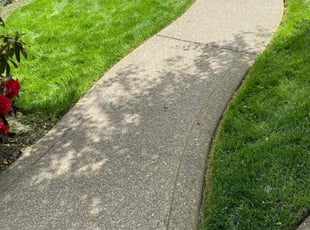 Isabel A.'s Yard Cutting service result