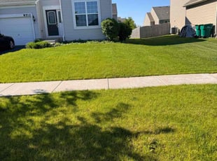 Shana W.'s Lawn Care service result