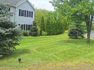 Audrey r.'s Lawn Mowing service result