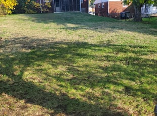 Leaf Removal by Douglas Rivas for Barbara H. in Washington, DC