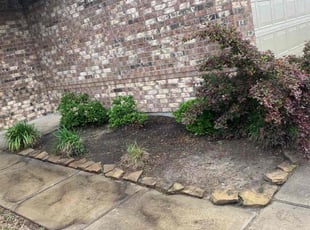 Weeding by Rigo Mireles for Michael P. in Houston, TX