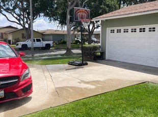 Bush Trimming by guillermo Martinez for Lindsey i. in Gardena, CA