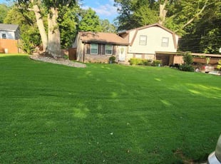 Karen L.'s Lawn Mowing service result
