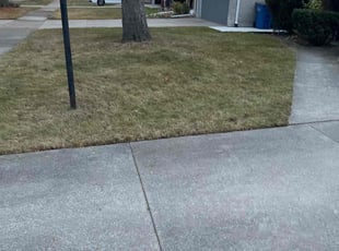 Leaf Removal by Gary Young for Kimberly J. in Warren, MI