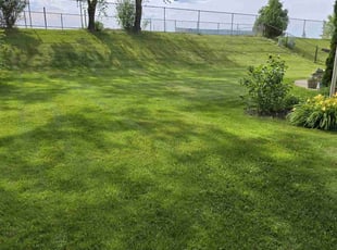 Jacob C.'s Lawn Service service result