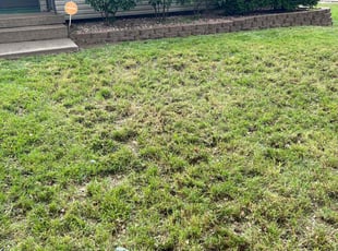 Leaf Removal by Joel Friedrich for Pam P. in Independence, MO