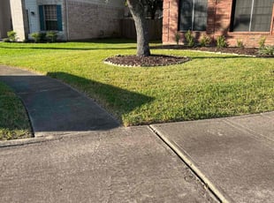 Nicollette M.'s Lawn Mowing service result