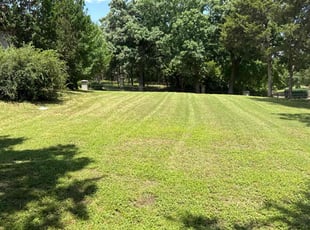 Marion M.'s Lawn Service service result