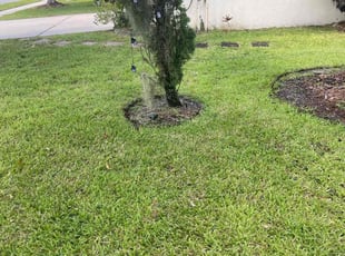 Weeding by Martin Byington for Tanetshia B. in Orlando, FL