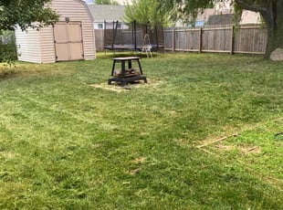 Marilynn H.'s Lawn Care service result
