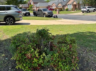 Bush Trimming by Joshua Coleman for Jeremy H. in Hurst, TX