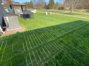 Emily K.'s Lawn Mowing Service service result