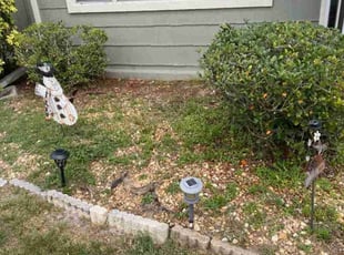 Weeding by Steve Hughes for Bonnie G. in Palm Bay, FL