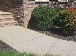 Bush Trimming by Rohan James for Melissa C. in Chester, VA