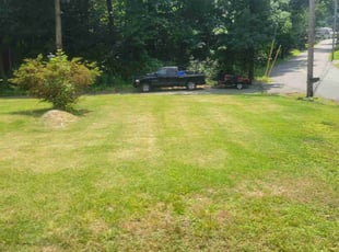 Rose W.'s Lawn Maintenance service result