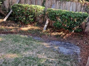Bush Trimming by John Joens for Penelope R. in Gulf Breeze, FL