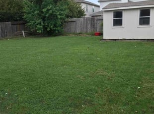 Daniel B.'s Lawn Mowing service result