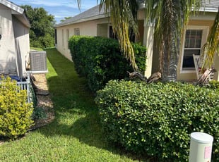 Bush Trimming by Buck Robinson for Brett B. in Groveland, FL