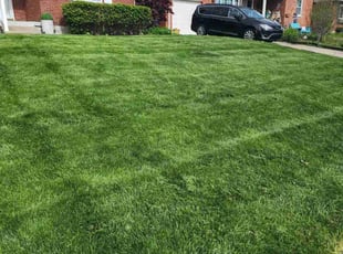 Chris S.'s Lawn Service service result