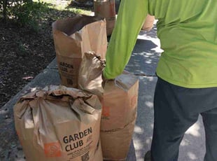 Leaf Removal by Christopher Moreno for Joan S. in San Antonio, TX