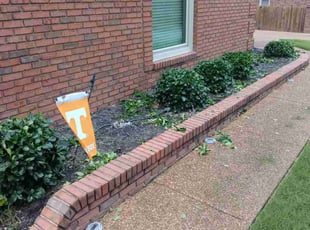 Bush Trimming by Kewon Andrews for Cherita B. in Memphis, TN