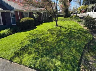 Abby M.'s Lawn Mowing service result