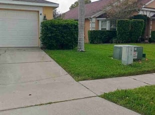 Alberto S.'s Lawn Service service result