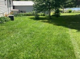 Deborah S.'s Lawn Service service result