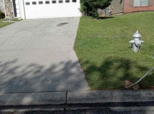 Shawn K.'s Grass Cutting service result