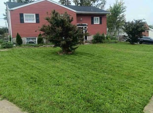 Betty W.'s Yard Cutting service result