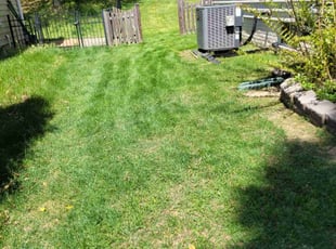 Anna Isabelle F.'s Lawn Care service result