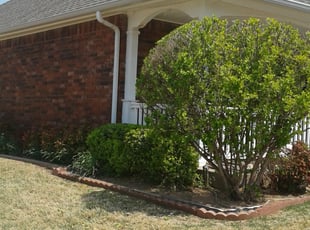 Bush Trimming by Brendan Warren for Doug and Louise G. in Oklahoma City, OK