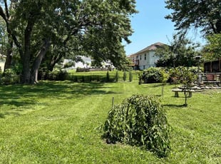 Cindy S.'s Yard Cutting service result