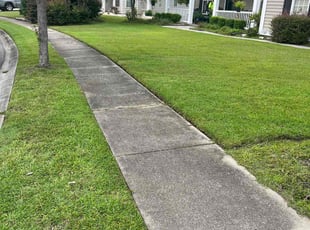 Jared L.'s Lawn Service service result