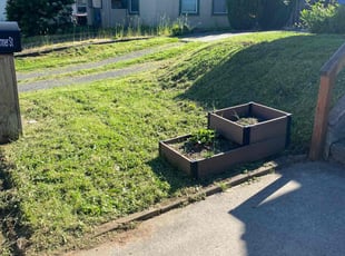 BILLY JOE S.'s Lawn Care service result