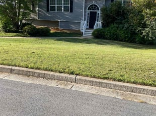 Dave S.'s Lawn Service service result