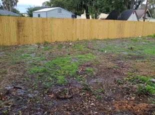 Cleanups by Chad Nicholes for Tory B. in Lakeland, FL