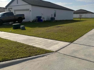 Aleema S.'s Lawn Mowing Service service result
