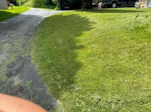 Antony P.'s Lawn Maintenance service result