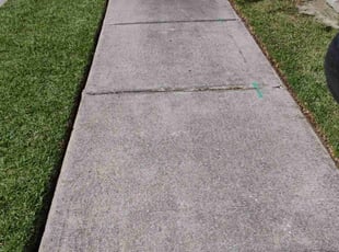 Delores W.'s Lawn Mowing service result