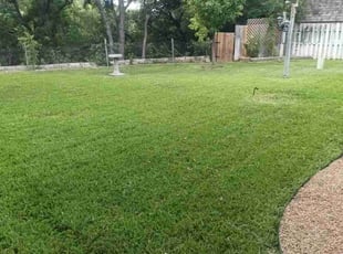 Donna R.'s Lawn Mowing Service service result