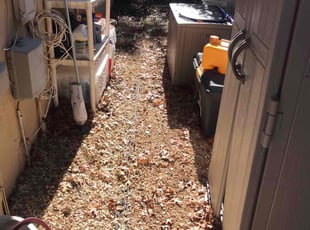 Leaf Removal by Chaes Pate for Annie C. in San Antonio, TX