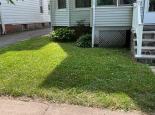 Whitney W.'s Lawn Maintenance service result