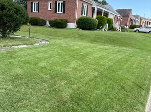 robert b.'s Lawn Service service result