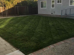 Mark S.'s Lawn Mowing Service service result