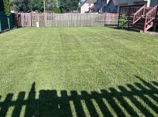 Lynn N.'s Lawn Mowing service result