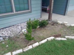 Steve C.'s Flower Bed Weeding service result