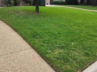 Benjamin G.'s Lawn Mowing Service service result