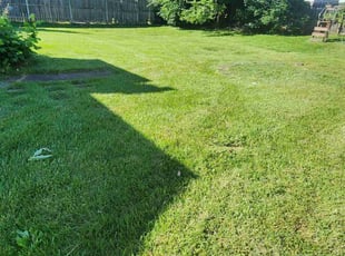 Elizabeth E.'s Lawn Service service result